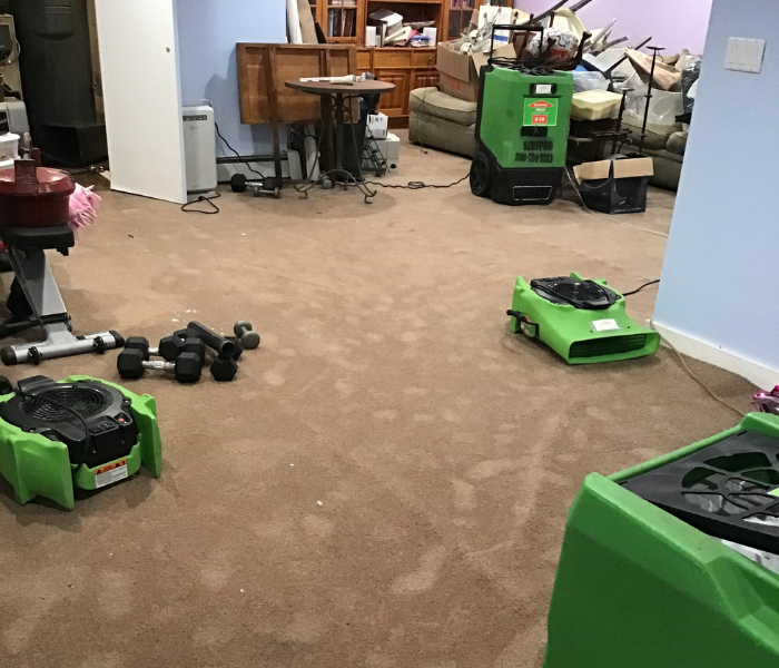 Flooded basement cleanup near me in Essex, CT.