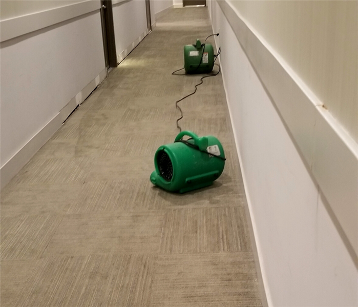 Water damage cleanup in Madison, Connecticut.