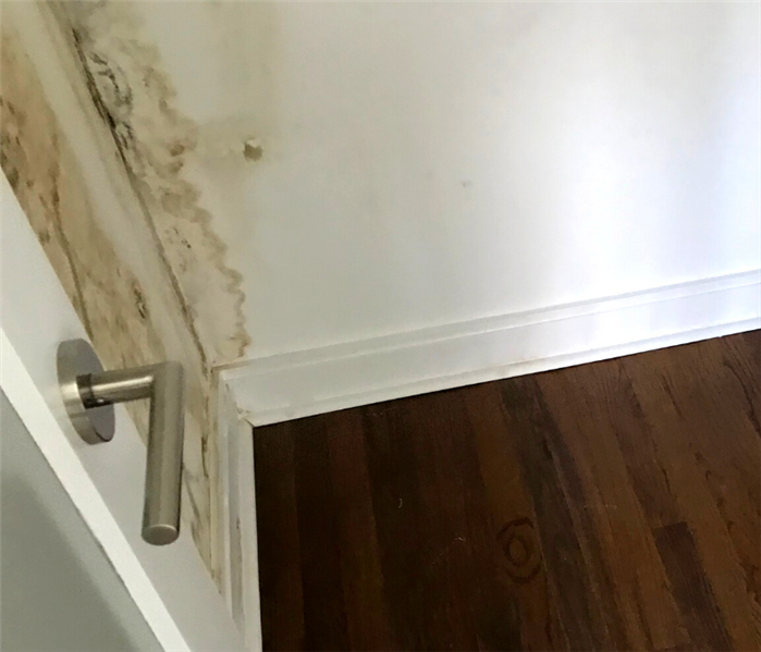 Mold removal in Clinton, Connecticut.