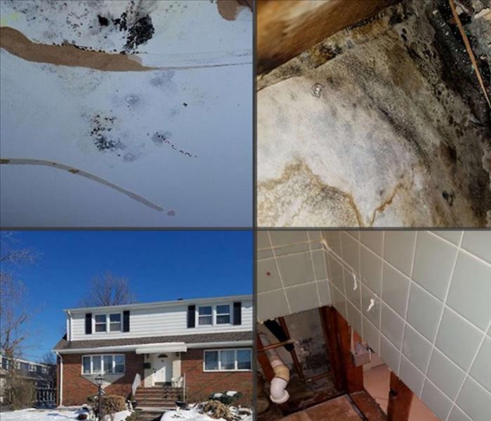 mold in old saybrook home