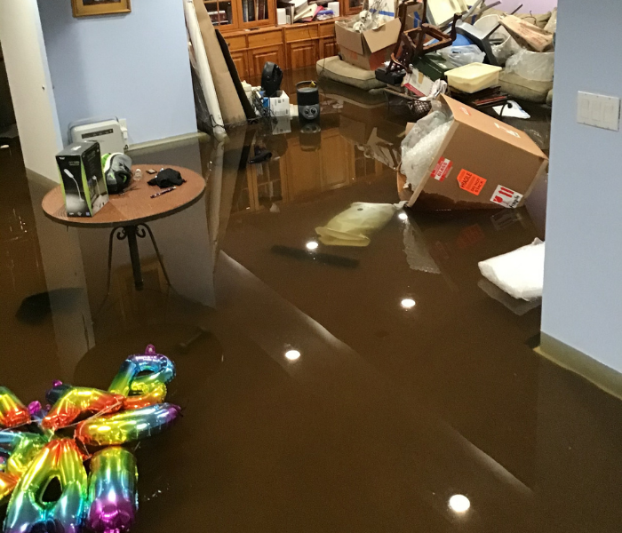 Flooded basement in Essex, Connecticut.