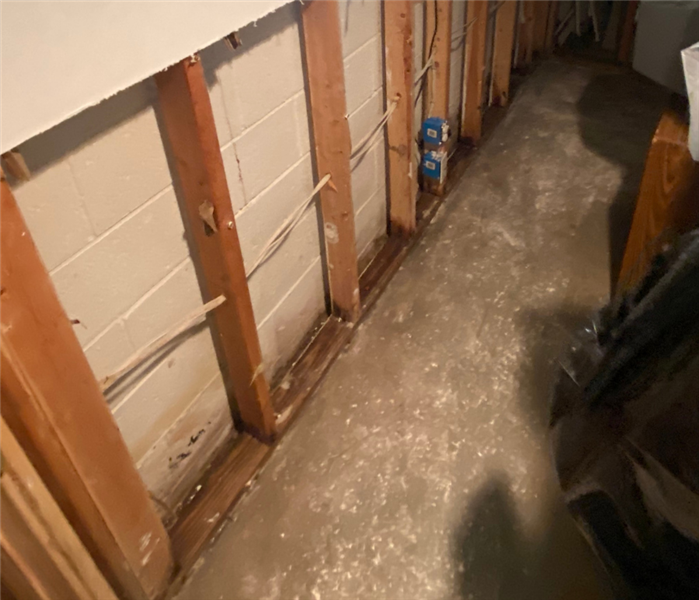 Mold remediation near me in Centerbrook, CT.