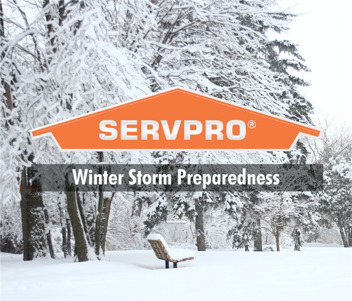 snow storm with servpro logo and text " winter storm prepardness"