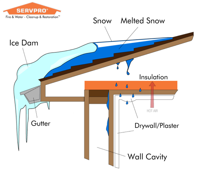Ice Dam damage infographic water leaking from roof into home creating water damage