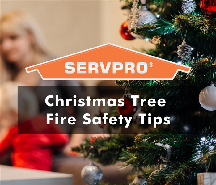 Family and christmas tree with SERVPRO logo and text " christmas tree fire safety tips"